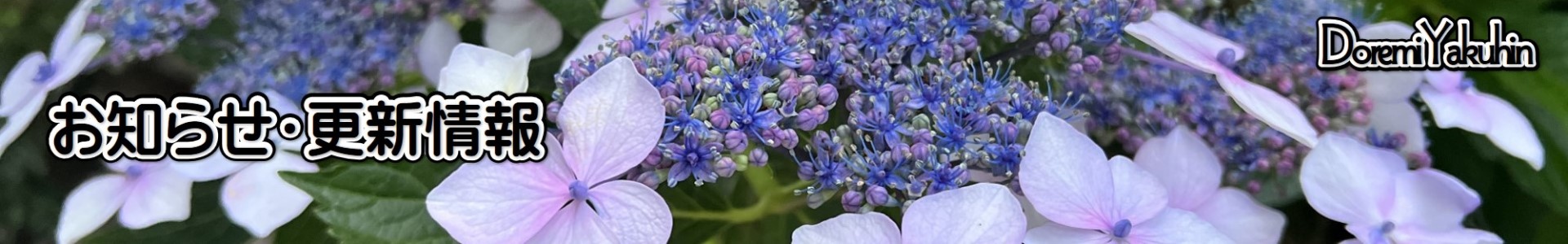 ドレミ薬品－お知らせ