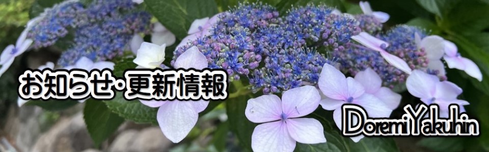 ドレミ薬品－お知らせ