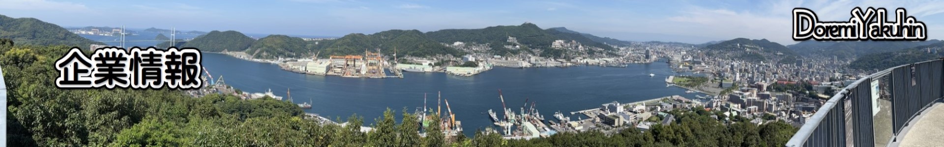 ドレミ薬品－企業情報